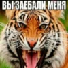 ВЫ ЗАЕБАЛИ МЕНЯ
