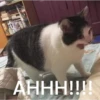Ahhhh! 7