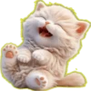Gato bebé💞3🇵🇪Clásica 9