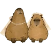 capibara 5