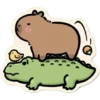 capibara 6