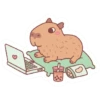 capibara 7
