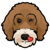 Winnie 5