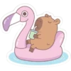 capibara 8