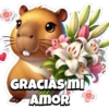 Copybara con ramos buchones💐 5