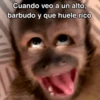 🙊😜🔥 Funny Monkey 🔥😜🙊 10