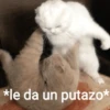 Golpes 11