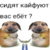 сидят кайфуют вас ебёт?