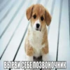 ВЫРВИ СЕБЕ ПОЗВОНОЧНИК