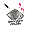 #ChileLoHacemosTodos 5