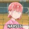 NAJISSS