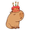 capibara 9