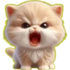 Gato bebé💞3🇵🇪Clásica 13