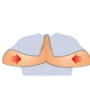 Fisioterapia y rehabilitación💞1🇵🇪Clásica 20