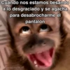 🙊😜🔥 Funny Monkey 🔥😜🙊 12