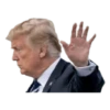 Donald Trump 11