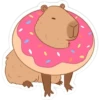 capibara 11