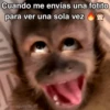 🙊😜🔥 Funny Monkey 🔥😜🙊 13