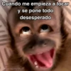 🙊😜🔥 Funny Monkey 🔥😜🙊 14