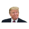 Donald Trump 12