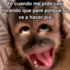 🙊😜🔥 Funny Monkey 🔥😜🙊 18