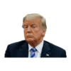 Donald Trump 13