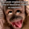 🙊😜🔥 Funny Monkey 🔥😜🙊 19