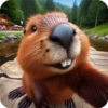 A.Capybara 188👩🏻‍🎨 Img.1712 14