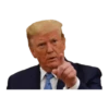 Donald Trump 15