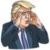 trump 25