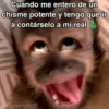 🙊😜🔥 Funny Monkey 🔥😜🙊 20