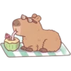 capibara 12