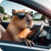 A.Capybara 188👩🏻‍🎨 Img.1712 17