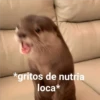 Ahhhh! 11