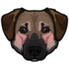 Ruby 7