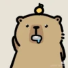 Capybara - Every Day Office 23