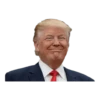 Donald Trump 17