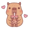 capibara 13