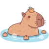 capibara 14