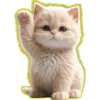 Gato bebé💞3🇵🇪Clásica 25