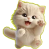 Gato bebé💞3🇵🇪Clásica 26