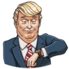 trump 29