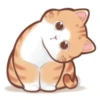 Busy Working Life of Mr. Orange Cat V2 22