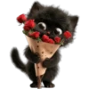 Gatitos❥☯︎ͫ6🇲🇽Clásica 24