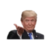 Donald Trump 19