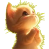 Gato bebé💞3🇵🇪Clásica 27