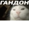 ГАНДОН