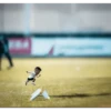 cr7 chiquito 12
