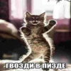ГВОЗДИ В ПИЗДЕ