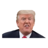 Donald Trump 21
